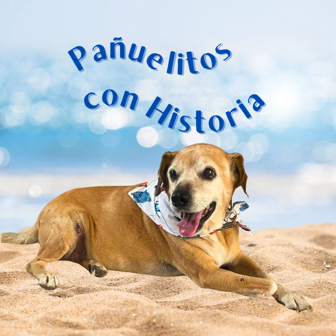 Pañuelos