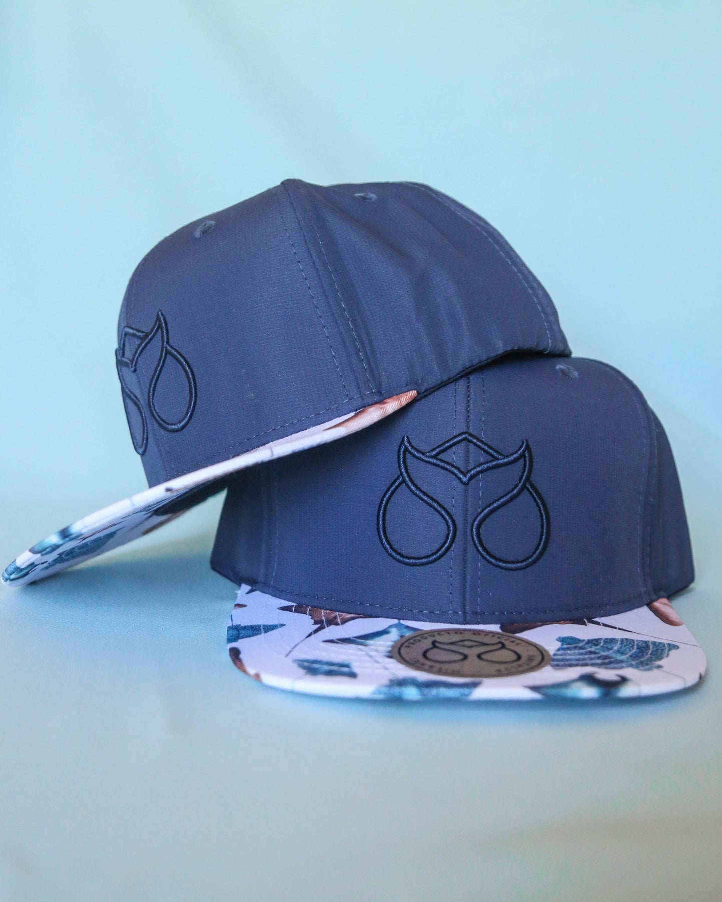 Snapback Batoidea